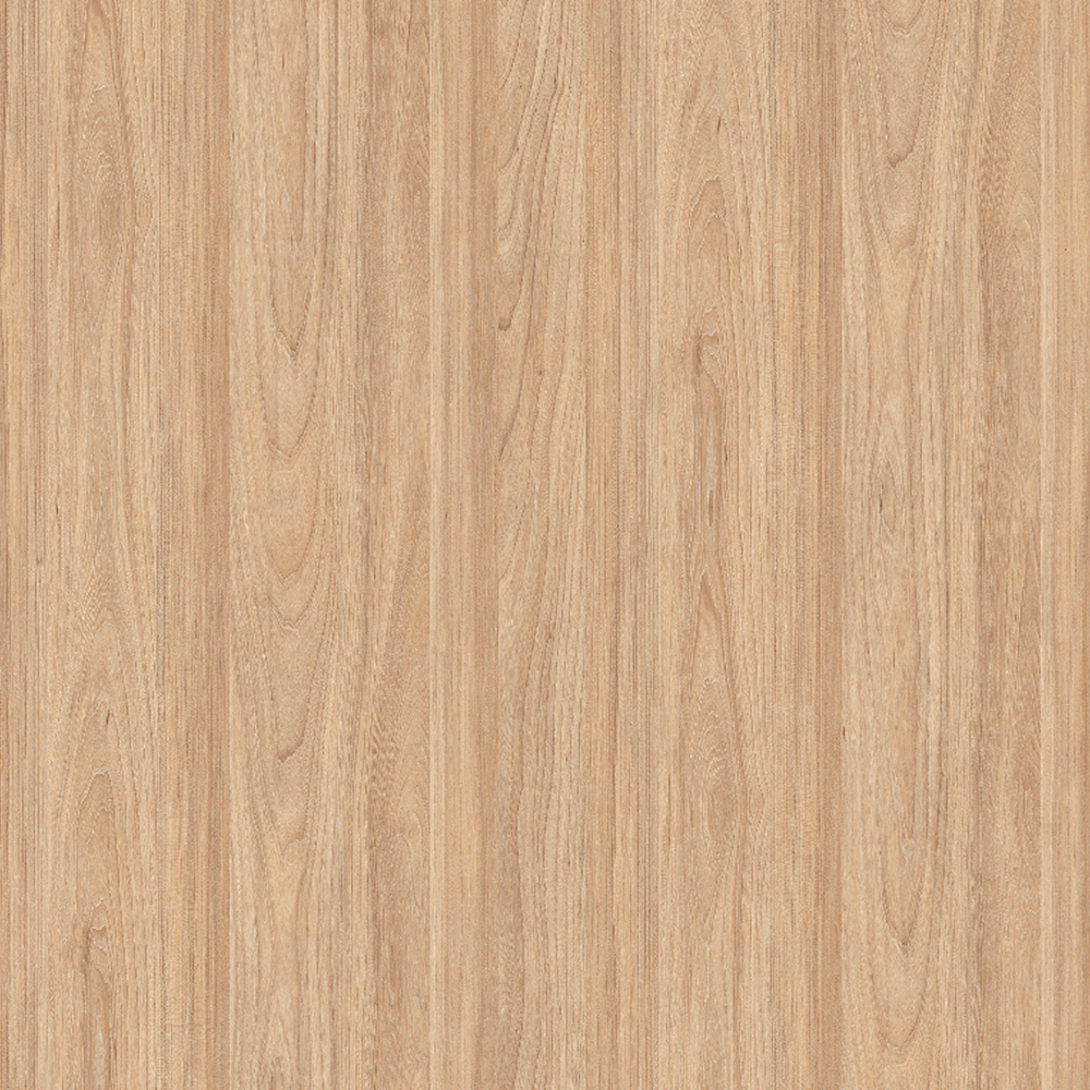 Швейцарский вяз Реми