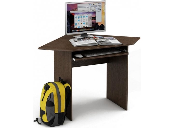 Компьютерный стол школьника
